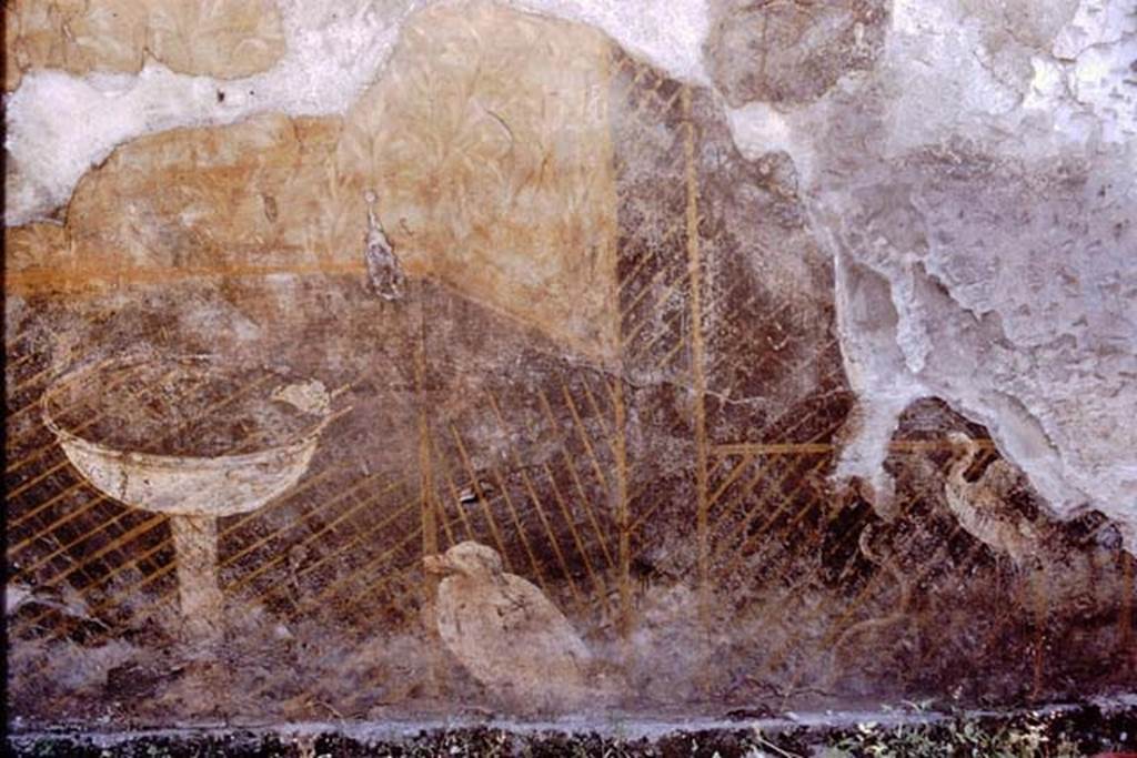 III.11 Herculaneum, 1964. Photo by Stanley A. Jashemski.
Source: The Wilhelmina and Stanley A. Jashemski archive in the University of Maryland Library, Special Collections (See collection page) and made available under the Creative Commons Attribution-Non Commercial License v.4. See Licence and use details.
J64f1164